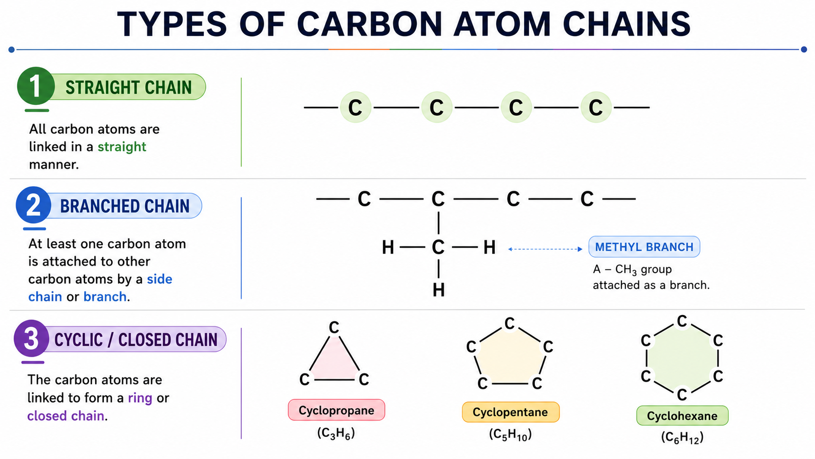 Types of Carbon Chains and Ring Structures